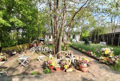 Casă cu 4 camere cu Teren 3000 Mp în Zorleni - 2