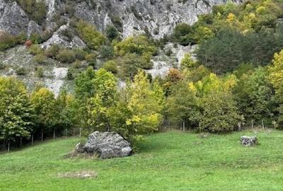 Teren intravilan de 3290 mp, în Lepșa - 5