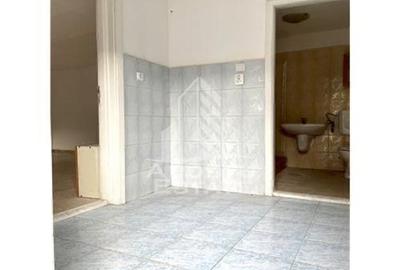 Spatiu depozitare cu teren 1100 mp, zona Elisabetin - 3