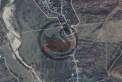 Teren intravilan de vanzare | 26.908 MP | Iedera de jos |... - 1