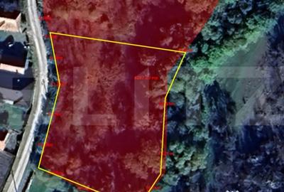 Teren de 2000 mp, în Ciurila - 2