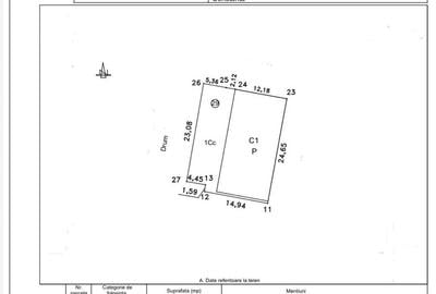 Spațiu industrial, de 294 mp, în Halta Traian - 4