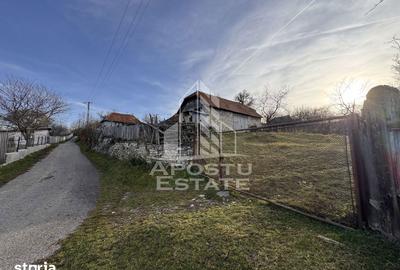 Casă cu 4 camere cu Teren 2231 Mp în Cerbăl - 9