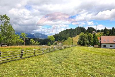 Teren de vis in Fundata 3868mp, la inal?imea sufletul... Teren de vis in Fundata 3868mp, la inal?imea sufletul... - 2