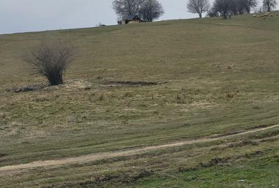 Spațiu comercial, în Central - 7