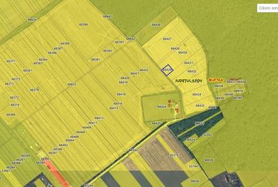 Vând teren construibil 1000 mp lângă pădure Buftea - 3