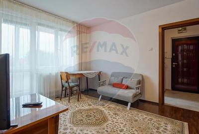 Apartament cu 2 camere de inchiriat, bd. Vlahuta - 4