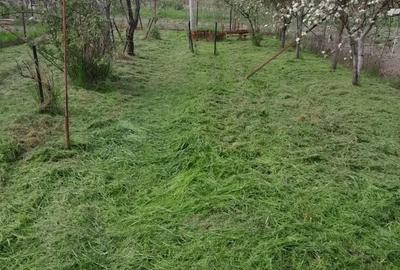 Casă cu 7 camere cu Teren 700 Mp în Central - 10