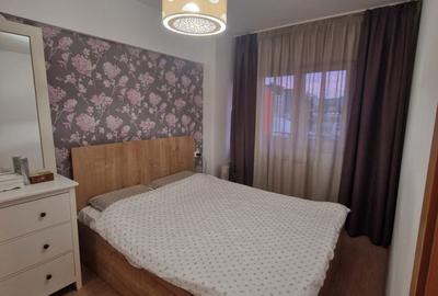 Apartament cu 2 camere semidecomandat în Dosu Bricii - 5