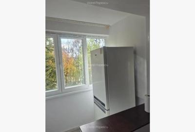 Berceni-Turnu Magurele Garsoniera amenajata Berceni-Turnu Magurele Garsoniera amenajata - 4