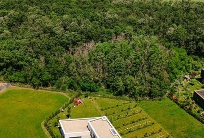 Vilă Smart cu grădină si acces in pădure- Dumbrava Vlăsiei, la 20 min de Baneasa - 2