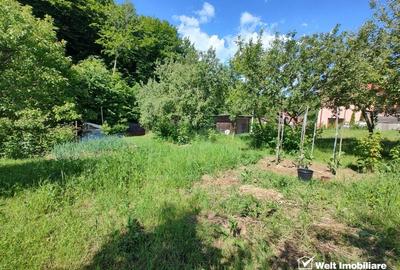 Oaza ta de liniste si verdeata, teren Faget cu parau in curte - 4