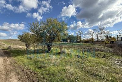 Teren de 1000 mp, în Mischii - 5