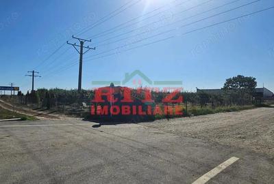 Teren de 56800 mp, în Fărcașele - 14