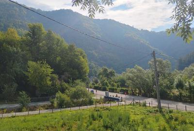 Casă cu 3 camere în Mănăstire - 1