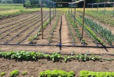 Casă cu 3 camere cu Teren 56 Mp în Gălești - 2