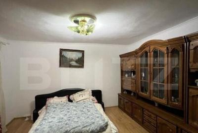 2 CASE, 300mp/700mp, teren 30 ari, zona strada Botizului - 10