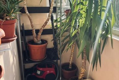 Apartament cu 2 camere în Rogerius - 8