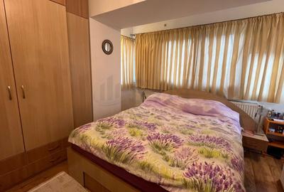 REA1026574 Apartament 3 Camere 96 mp Parcul Plumbuita - 10