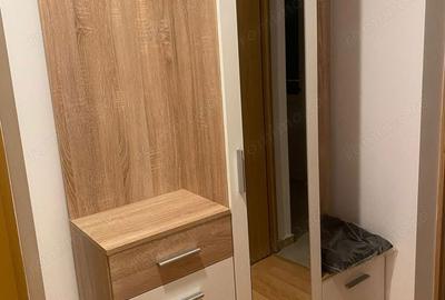 Apartament cu 2 camere decomandat în Urziceni - 6