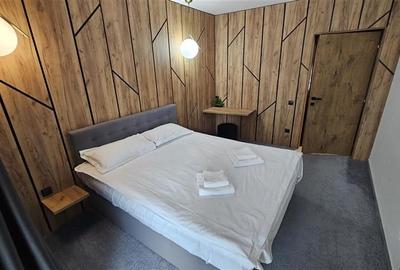 Apartament cu 2 camere semidecomandat, mobilat în Central - 13