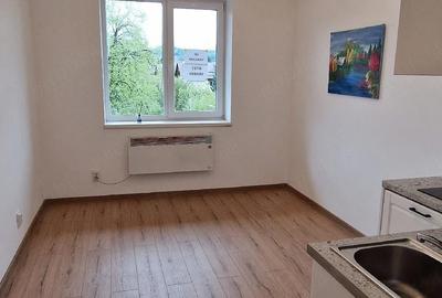 Garsonieră nedecomandată în Noua - 2
