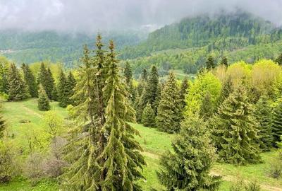 Imobil NOU, in inima muntilor, 24 apartamente - 18