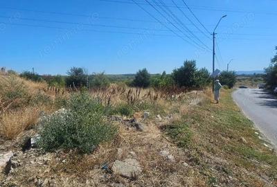 Teren de 14168 mp, în Brăilița - 2