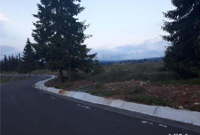 Teren în Beliș - 5
