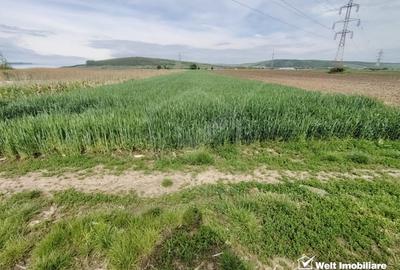 Teren agricol intravilan de 5800 mp, în Apahida - 4