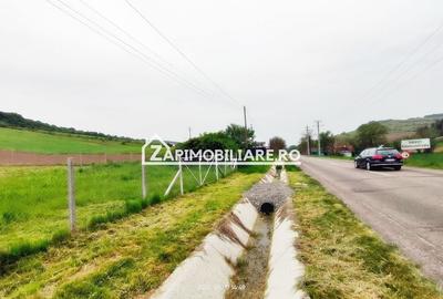Sanisor - Teren intravilan 1812mp + 300 mp drum privat - 5