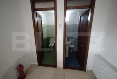 Villa, 500 mp, 7 camere, 3500 mp teren, zona Stramba - 6