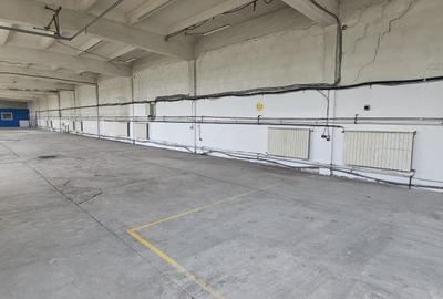 Hala 590 mp, depozitare, prestari servicii, ocolitoarea Brasov-Stupini - 2