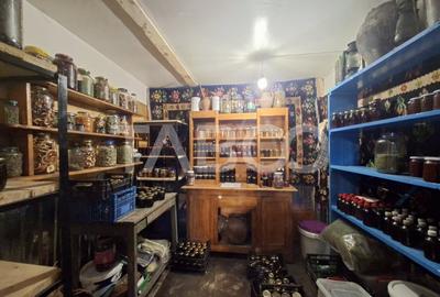 Spatiu de vanzare in Valea Macesului judel Valcea iesire la Lotru - 20