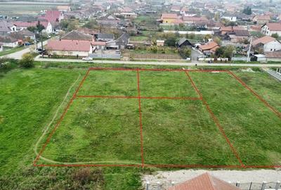 Trei parcele de 600 mp in Botiz | Toate utilitatile, aproape de oras - 8