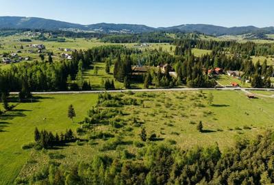 Teren Construcții intravilan de 12743 mp, în Șaru Dornei - 22