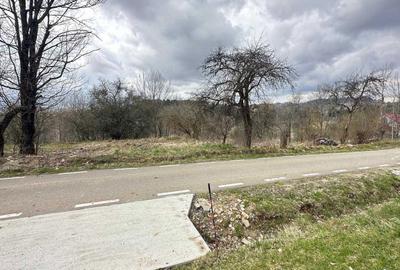 Spațiu comercial, în Brebu - 1