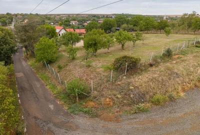 Teren de 1584 mp, în Murani - 3