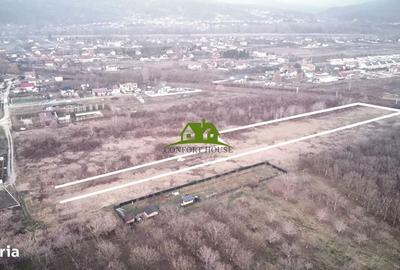 Spațiu comercial, în Buleta - 3
