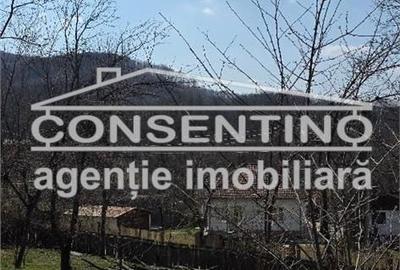 Casă cu 6 camere cu Teren 2200 Mp în Tisău - 1