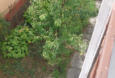 Casa spa?ioasa cu 5 camere, gradina ?i garaj - Ideala pentru familie! - 6