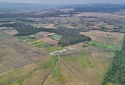 Teren Extravilan - 6