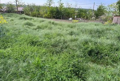 Casă individuală cu 3 camere cu Teren 850 Mp în Tămădău Mic - 6