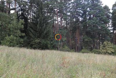 Teren de 1195 mp, în Poiana Angelescu