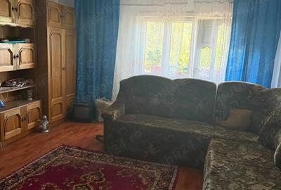 Casă cu 4 camere cu Teren 3200 Mp în Păltinișu - 5