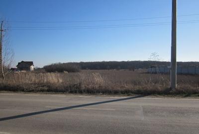 Teghes-Padurarului - 9