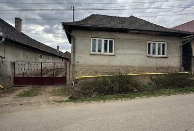 Casă cu 3 camere cu Teren 10000 Mp în Central - 4