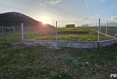 Teren de 1100 mp, în Mintia - 5