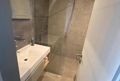 Penthouse pe 2 etaje  lângă  Herastrau,2 terase,2locuri de parcare - 19