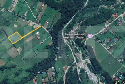 Teren de 4990 mp, în Valea Doftanei - 2